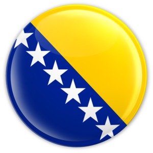 A clipart image of the flag of Bosnia and Herzegovina on a button.