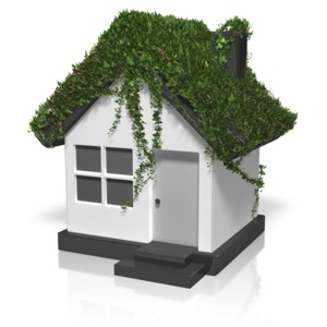 A house with it&#039;s roof covered in ivy.