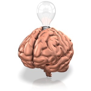 A light bulb wedged between the two halves of the brain. This clip-art can represent where ideas are generated.