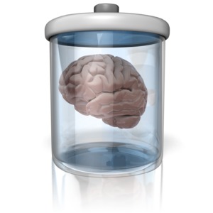 A brain in a jar container.