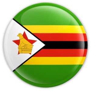 Zimbab flag in the form of a button.