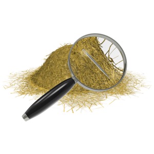 A magnifying glass finds the elusive needle in a haystack.