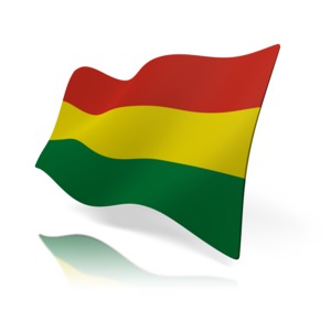 An image of Bolivia&#039;s flag.