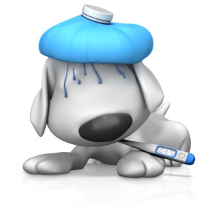 This clip art image shows a sick dog with a ice pack on head and thermometer in mouth.