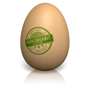 An image of a single stamped certified organic egg.