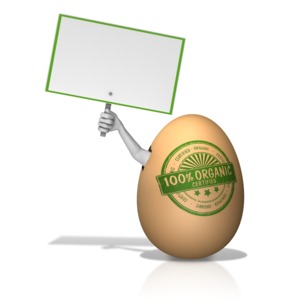 This clip art image shows a organic egg with a arm breaking out the side holding a blank sign.