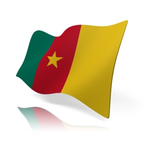 An image of Cameroon&#039;s flag.