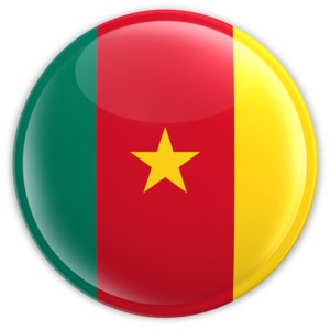 An image of Cameroon&#039;s flag on a button.