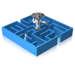 This clip art image shows a rat standing in a maze confused.