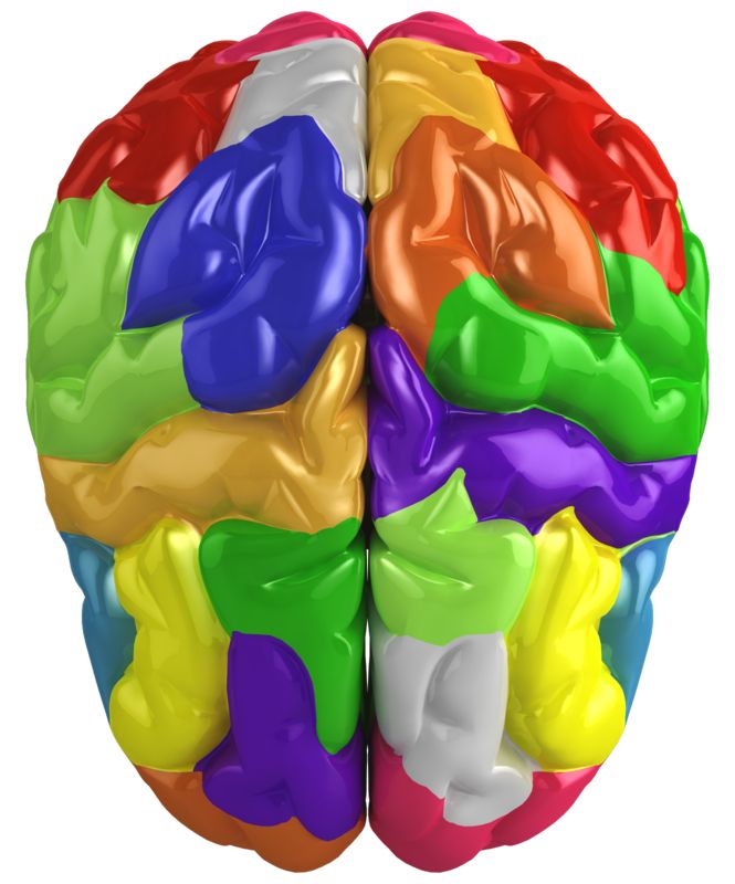 Creative Brain Colored | Great PowerPoint ClipArt for Presentations ...