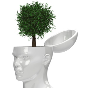 This clipart image shows a tree growing out of a head.