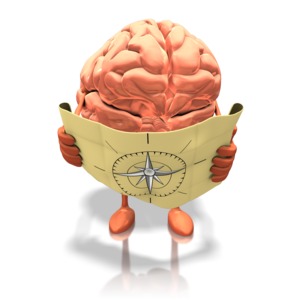 A brain figure is shown looking at a map!