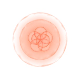 A clipart image of a cell.