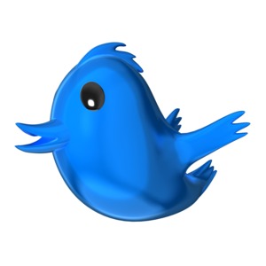 This image shows a shiny tweet bird.