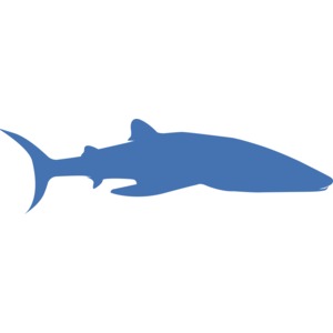 A silhouette of a shark.