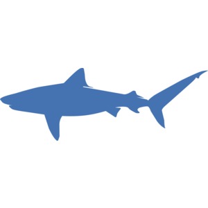 A silhouette of a shark.