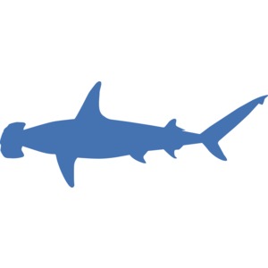 A silhouette of a shark.