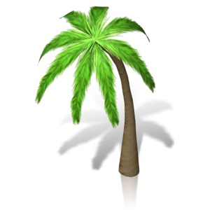 An image of a palm tree at an isometric camera angle.