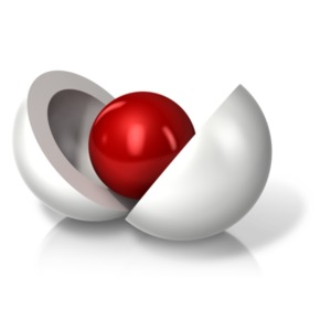 An image of a split open round shell with core exposed.