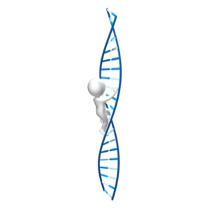 A stick figure climbs a DNA strand.