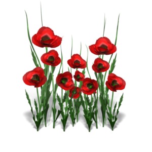This clip art image shows a group of poppy flowers.