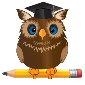 An image of a smart owl standing on a pencil.