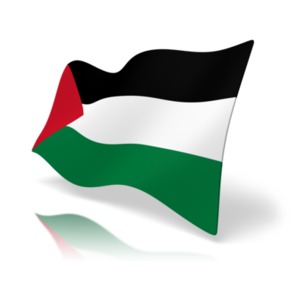 palestine flag perspective anim