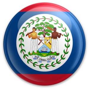 An image of Belize&#039;s flag on a button.