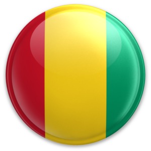 An image of Guinea&#039;s flag on a button.