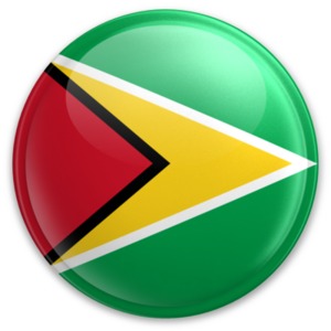 An image of Guyana&#039;s flag on a button.