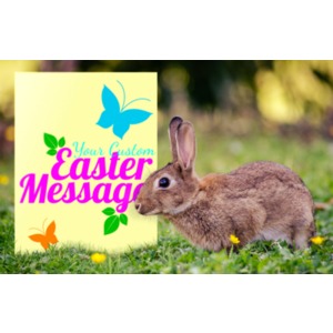 Use this card to send an Easter message. Easily customize it in our one of a kind customizer.