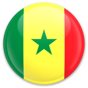 An image of Senebgal&#039;s flag on a button.