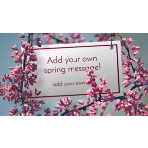 A blank card hangs among the blossoms of an apple tree in spring. You can add your own text to the sign using our on-line tools.