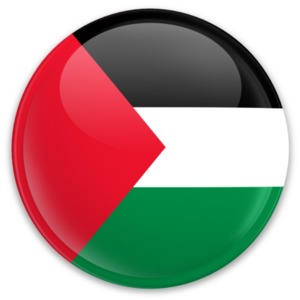 An image of Palestine&#039;s flag on a button.