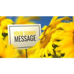 A custom sign sits among a field of sunflowers in this summer concept. You may change the message on the sign using our on-line tools.