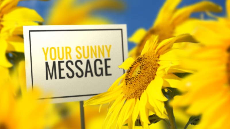 This Presentation Clipart shows a preview of Sunflower And Sign