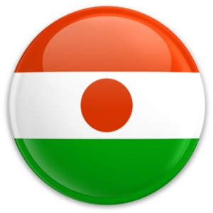 An image of Niger&#039;s flag on a button.