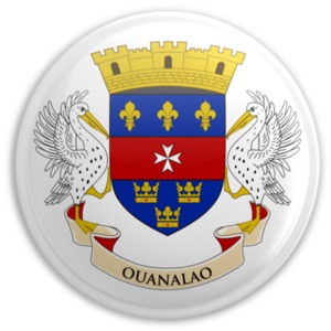 An image of Saint Barthelemy flag on a button.