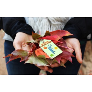 A custom text image containing a burlap string tag on top of some autumn leaves.