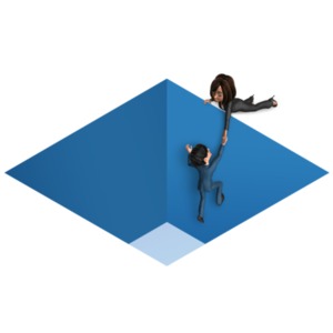 An image of a Brad being rescued from being trapped in a pit.