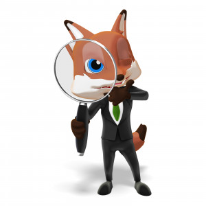 A business fox looks through a magnifying glass.