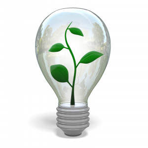 In this clipart image, a small plant is growing inside of a clear light bulb.  Use this clipart image for your presentations involving sustainability, environment, natural science, and more.
