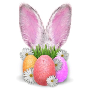 A pair of pink bunny ears peek out from behind a set of three colorful Easter eggs.