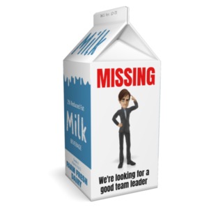 Milk Carton Missing Custom