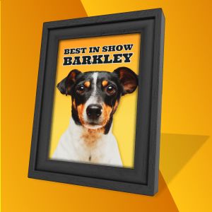 A 3D Picture Frame with editing tools to customize the design and make it your own.