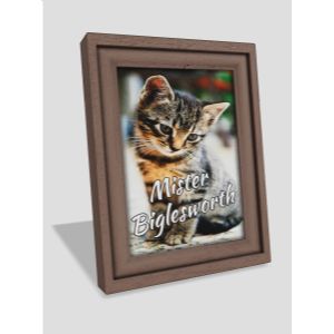 A 3D Picture Frame with editing tools to customize the design and make it your own.