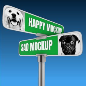 A 3D Directional Street Sign with editing tools to customize the design and make it your own.