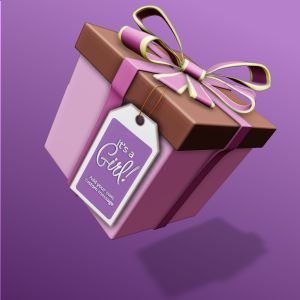 A 3D Present and Gift Tag with editing tools to customize the design and make it your own.