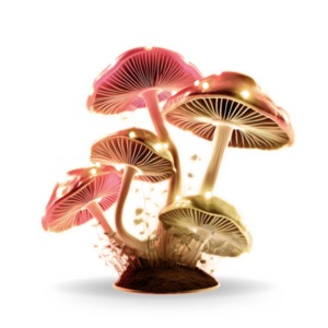 Enhance your presentations and creative projects with this Glowing Fungi Mushroom Clipart.  Visualize the power and vitality mushrooms give.