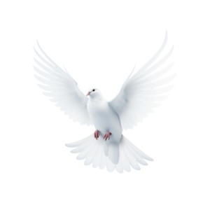 White dove clipart - A symbol of peace in flight. This clipart depicts elegance and harmony, perfect for conveying universal messages in presentations.